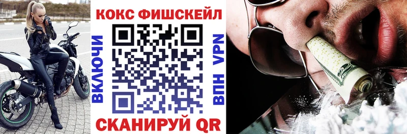 КОКАИН Fish Scale  Инта 