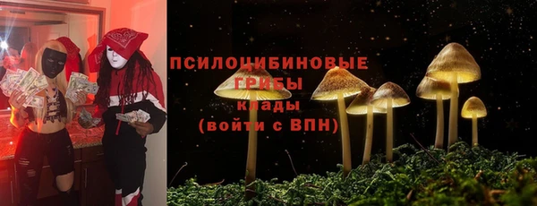 крисы Заречный
