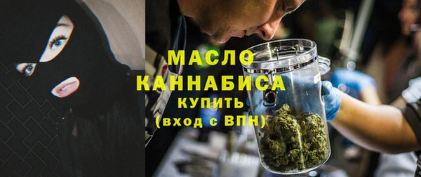 сатива Заполярный
