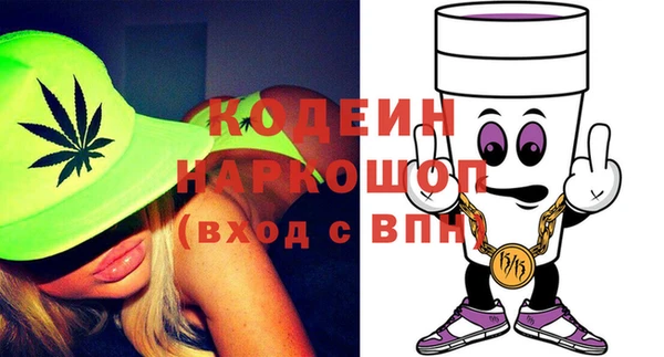 сатива Заполярный