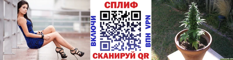 как найти наркотики  Инта  Конопля OG Kush 